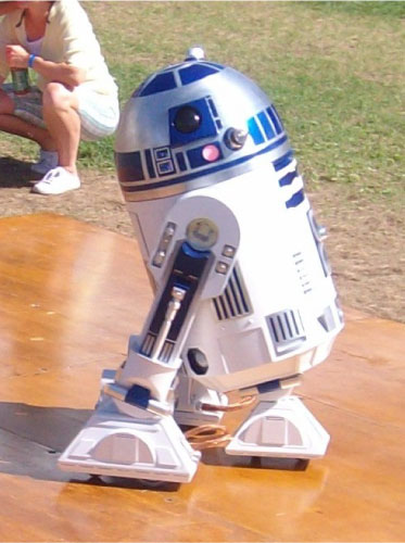 R2-D2 Ribfest